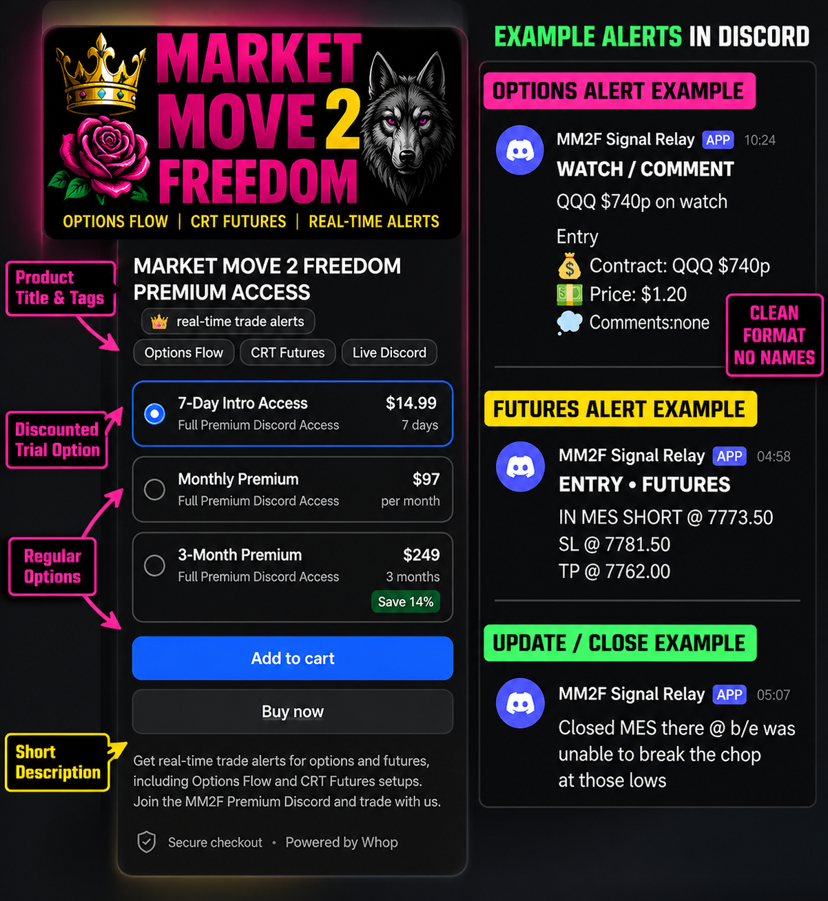 MM2F example option signal and trade update alerts